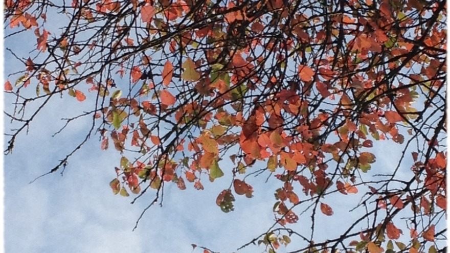 Herbstfarben